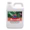 IFA ACCEL QUART