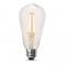 60W 27K LED BULB DIM ST19 2PK